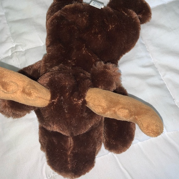 Maine moose - Picture 2 of 2